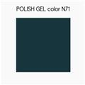 POLISH NEW GENERATION N71-verde  bluastro